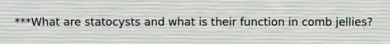 ***What are statocysts and what is their function in comb jellies?