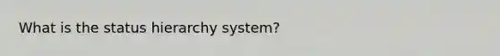 What is the status hierarchy system?