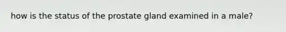 how is the status of the prostate gland examined in a male?