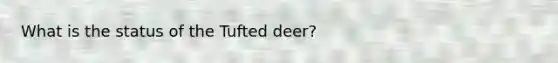 What is the status of the Tufted deer?