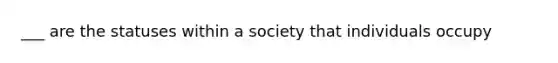 ___ are the statuses within a society that individuals occupy