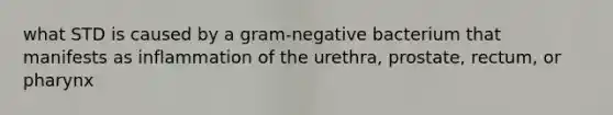 what STD is caused by a gram-negative bacterium that manifests as inflammation of the urethra, prostate, rectum, or pharynx