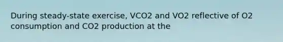 During steady-state exercise, VCO2 and VO2 reflective of O2 consumption and CO2 production at the