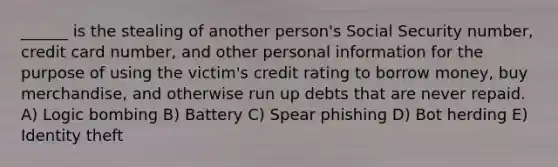 ______ is the stealing of another person's Social Security number, credit card number, and other personal information for the purpose of using the victim's credit rating to borrow money, buy merchandise, and otherwise run up debts that are never repaid. A) Logic bombing B) Battery C) Spear phishing D) Bot herding E) Identity theft