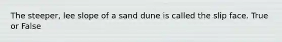 The steeper, lee slope of a sand dune is called the slip face. True or False