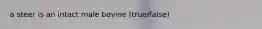 a steer is an intact male bovine (true/false)