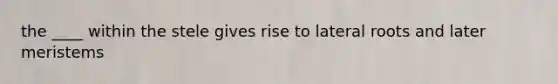 the ____ within the stele gives rise to lateral roots and later meristems