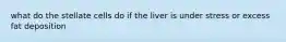 what do the stellate cells do if the liver is under stress or excess fat deposition