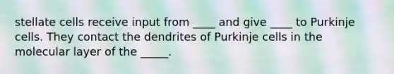 stellate cells receive input from ____ and give ____ to Purkinje cells. They contact the dendrites of Purkinje cells in the molecular layer of the _____.