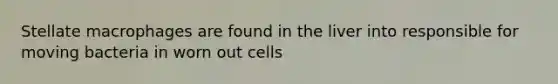 Stellate macrophages are found in the liver into responsible for moving bacteria in worn out cells