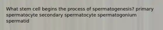 What stem cell begins the process of spermatogenesis? primary spermatocyte secondary spermatocyte spermatogonium spermatid