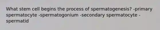 What stem cell begins the process of spermatogenesis? -primary spermatocyte -spermatogonium -secondary spermatocyte -spermatid