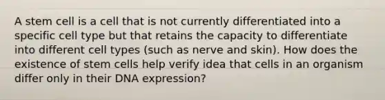 A stem cell is a cell that is not currently differentiated into a specific cell type but that retains the capacity to differentiate into different cell types (such as nerve and skin). How does the existence of <a href='https://www.questionai.com/knowledge/kbpI7ow6uC-stem-cells' class='anchor-knowledge'>stem cells</a> help verify idea that cells in an organism differ only in their DNA expression?