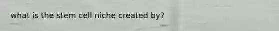 what is the stem cell niche created by?