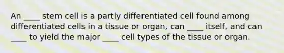 An ____ stem cell is a partly differentiated cell found among differentiated cells in a tissue or organ, can ____ itself, and can ____ to yield the major ____ cell types of the tissue or organ.