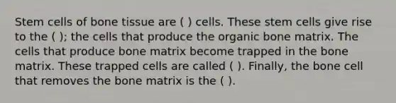 Stem cells of bone tissue are ( ) cells. These stem cells give rise to the ( ); the cells that produce the organic bone matrix. The cells that produce bone matrix become trapped in the bone matrix. These trapped cells are called ( ). Finally, the bone cell that removes the bone matrix is the ( ).