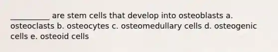 __________ are stem cells that develop into osteoblasts a. osteoclasts b. osteocytes c. osteomedullary cells d. osteogenic cells e. osteoid cells