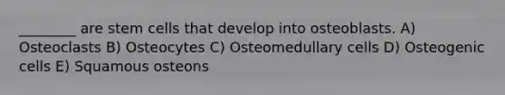 ________ are stem cells that develop into osteoblasts. A) Osteoclasts B) Osteocytes C) Osteomedullary cells D) Osteogenic cells E) Squamous osteons