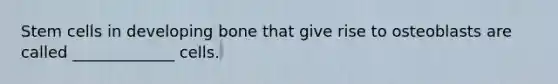 Stem cells in developing bone that give rise to osteoblasts are called _____________ cells.