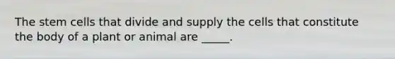 The stem cells that divide and supply the cells that constitute the body of a plant or animal are _____.