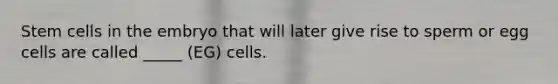 Stem cells in the embryo that will later give rise to sperm or egg cells are called _____ (EG) cells.