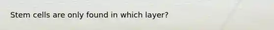 Stem cells are only found in which layer?