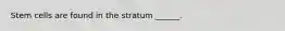 Stem cells are found in the stratum ______.