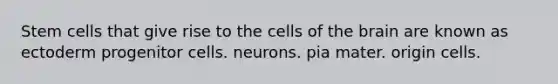 Stem cells that give rise to the cells of the brain are known as ectoderm progenitor cells. neurons. pia mater. origin cells.