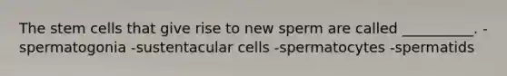 The stem cells that give rise to new sperm are called __________. -spermatogonia -sustentacular cells -spermatocytes -spermatids