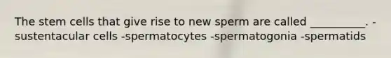 The stem cells that give rise to new sperm are called __________. -sustentacular cells -spermatocytes -spermatogonia -spermatids