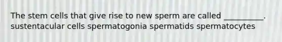 The stem cells that give rise to new sperm are called __________. sustentacular cells spermatogonia spermatids spermatocytes