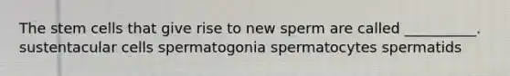 The stem cells that give rise to new sperm are called __________. sustentacular cells spermatogonia spermatocytes spermatids