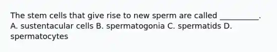 The stem cells that give rise to new sperm are called __________. A. sustentacular cells B. spermatogonia C. spermatids D. spermatocytes