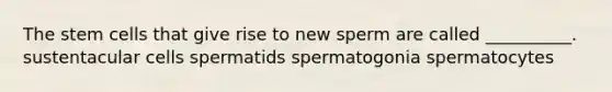 The stem cells that give rise to new sperm are called __________. sustentacular cells spermatids spermatogonia spermatocytes