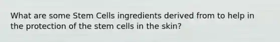 What are some Stem Cells ingredients derived from to help in the protection of the stem cells in the skin?