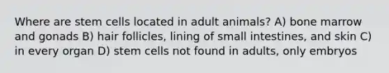 Where are stem cells located in adult animals? A) bone marrow and gonads B) hair follicles, lining of small intestines, and skin C) in every organ D) stem cells not found in adults, only embryos