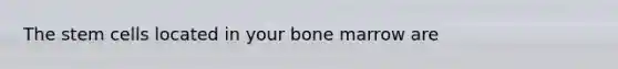 The stem cells located in your bone marrow are