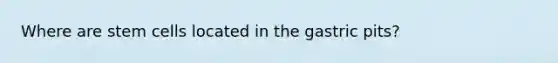 Where are stem cells located in the gastric pits?