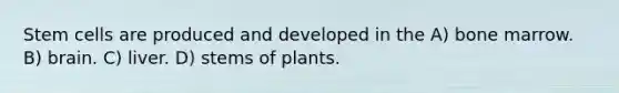 Stem cells are produced and developed in the A) bone marrow. B) brain. C) liver. D) stems of plants.