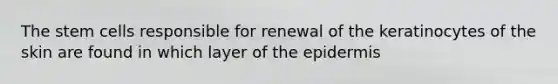 The stem cells responsible for renewal of the keratinocytes of the skin are found in which layer of the epidermis