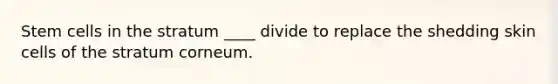 Stem cells in the stratum ____ divide to replace the shedding skin cells of the stratum corneum.