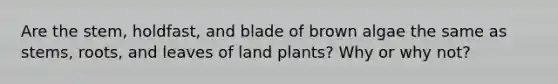 Are the stem, holdfast, and blade of brown algae the same as stems, roots, and leaves of land plants? Why or why not?