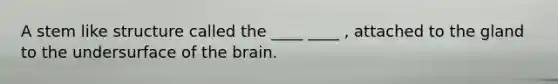 A stem like structure called the ____ ____ , attached to the gland to the undersurface of the brain.