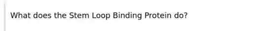 What does the Stem Loop Binding Protein do?
