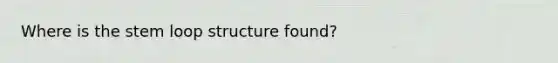 Where is the stem loop structure found?