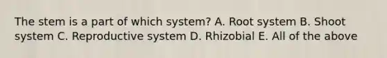 The stem is a part of which system? A. Root system B. Shoot system C. Reproductive system D. Rhizobial E. All of the above