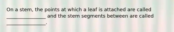 On a stem, the points at which a leaf is attached are called ________________ and the stem segments between are called ________________.