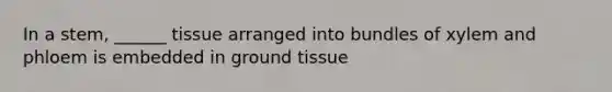 In a stem, ______ tissue arranged into bundles of xylem and phloem is embedded in ground tissue