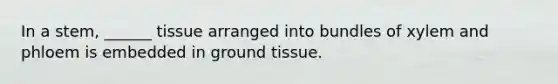 In a stem, ______ tissue arranged into bundles of xylem and phloem is embedded in <a href='https://www.questionai.com/knowledge/kb0kKBaH0H-ground-tissue' class='anchor-knowledge'>ground tissue</a>.