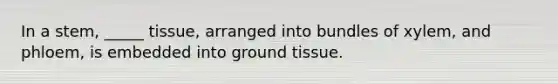 In a stem, _____ tissue, arranged into bundles of xylem, and phloem, is embedded into <a href='https://www.questionai.com/knowledge/kb0kKBaH0H-ground-tissue' class='anchor-knowledge'>ground tissue</a>.